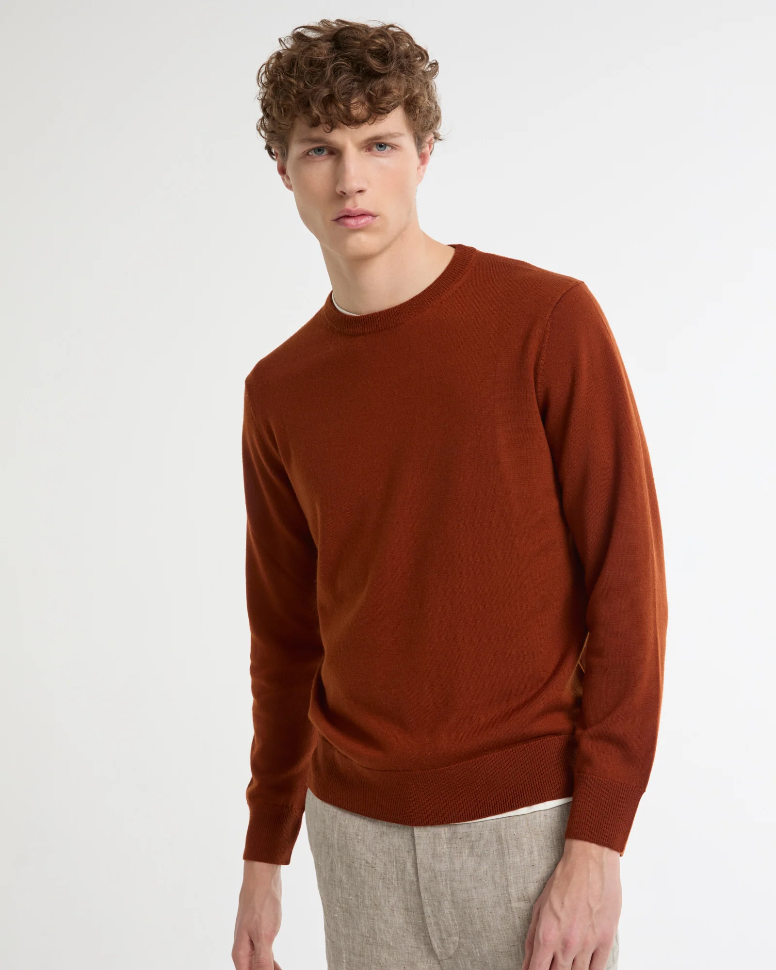 Crew neck jumper in 100% merino wool knit - Image 2